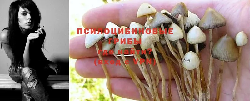 Галлюциногенные грибы Cubensis  наркота  гидра сайт  Сарапул 